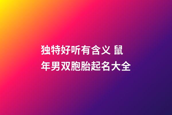 独特好听有含义 鼠年男双胞胎起名大全